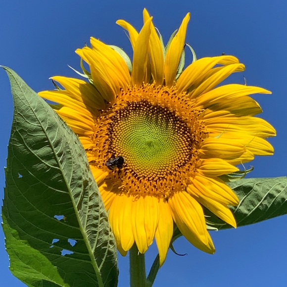 Meet your Posher, Bethie - Picture 15 of 16